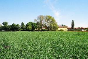 Ski Lodges, Mountain Refuges, Characteristic B&Bs and simply nice places to stay in Italy and the Italian Alps.